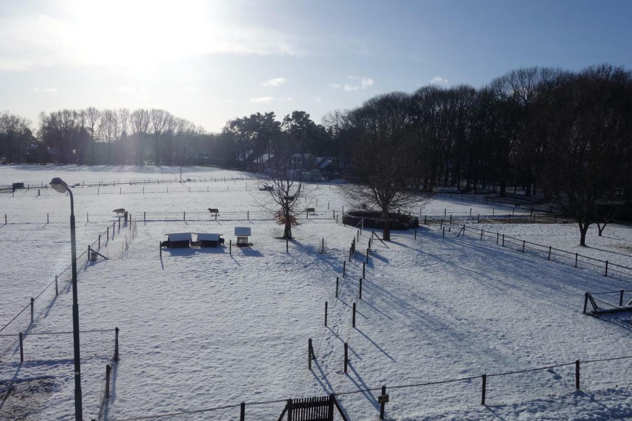 B&B Achterom Loon op Zand Zewnętrze zdjęcie