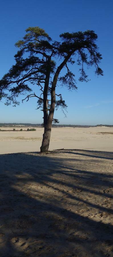 B&B Achterom Loon op Zand Zewnętrze zdjęcie